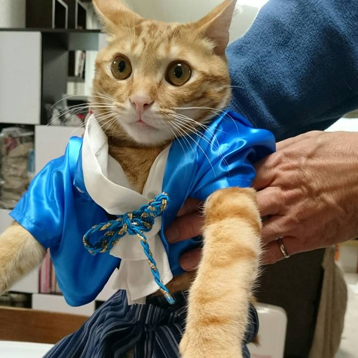 59f3834d ca9a 4441 9823 b076949f46ad