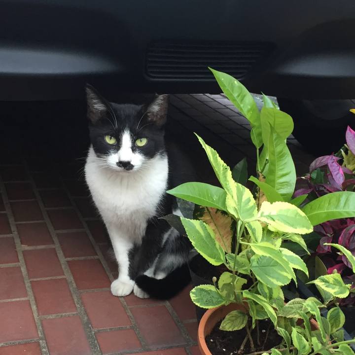 59f3ca55 5eb5 42e5 9ca4 fbf0c3bec790