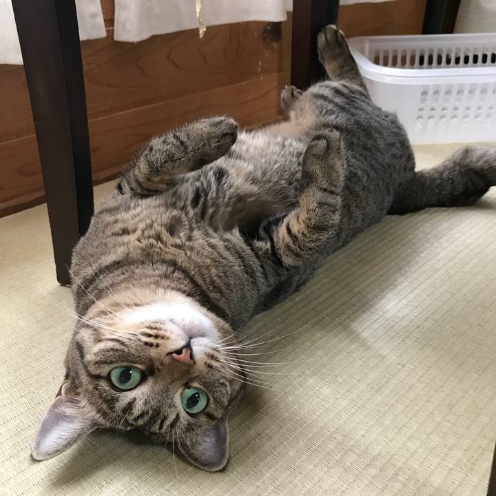 59f465a5 ace0 4206 80a8 114aa2bbdf5c