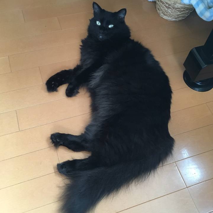 59f506a7 e26b 46dc 9bdc c98fe8868c92