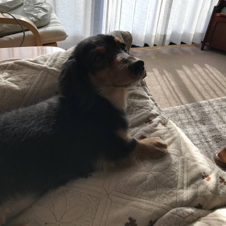 59f551a5 c52a 4acf 8d0d 41d0f1d3cb0e