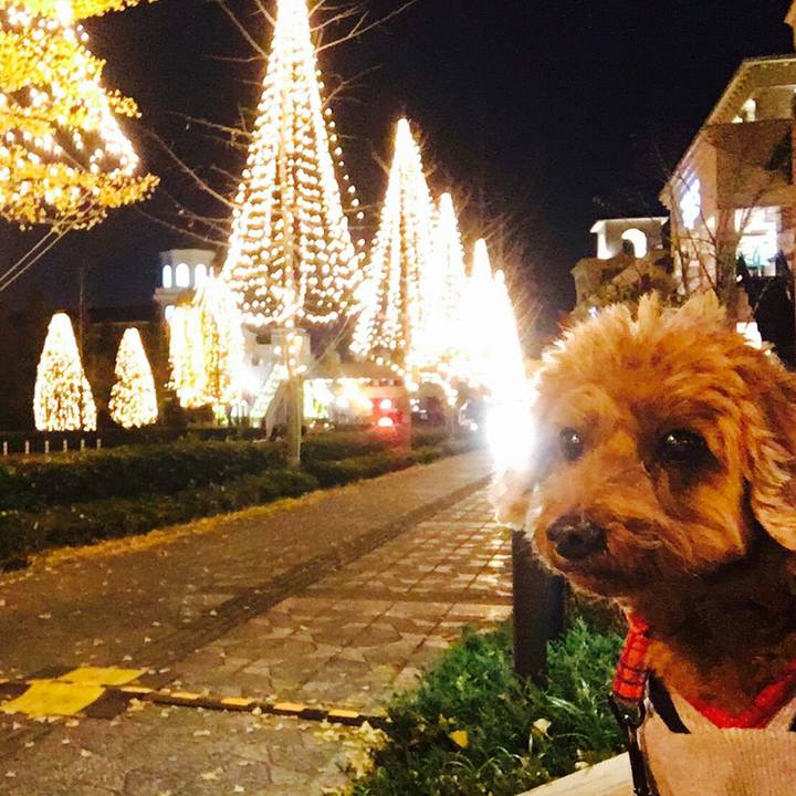 59f5aa5f a67b 4359 b157 f22be0d6f465