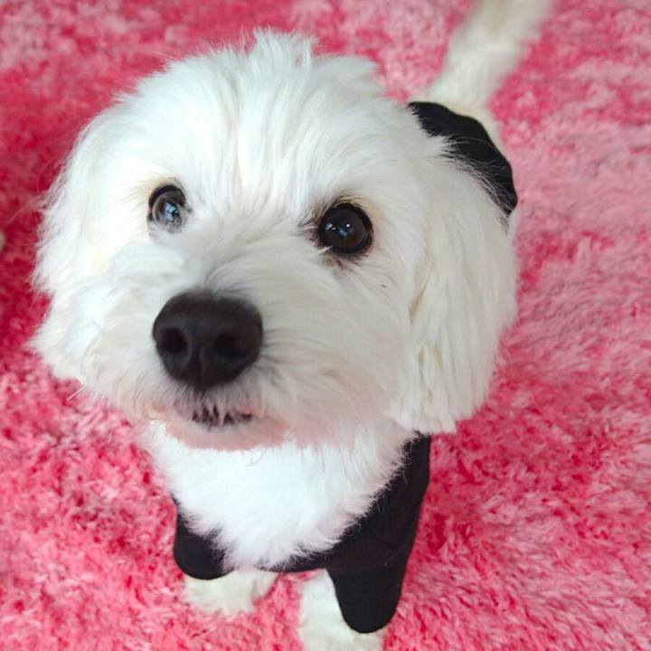 59f5c6f4 b1f7 4eb3 a63e fe0937681c81