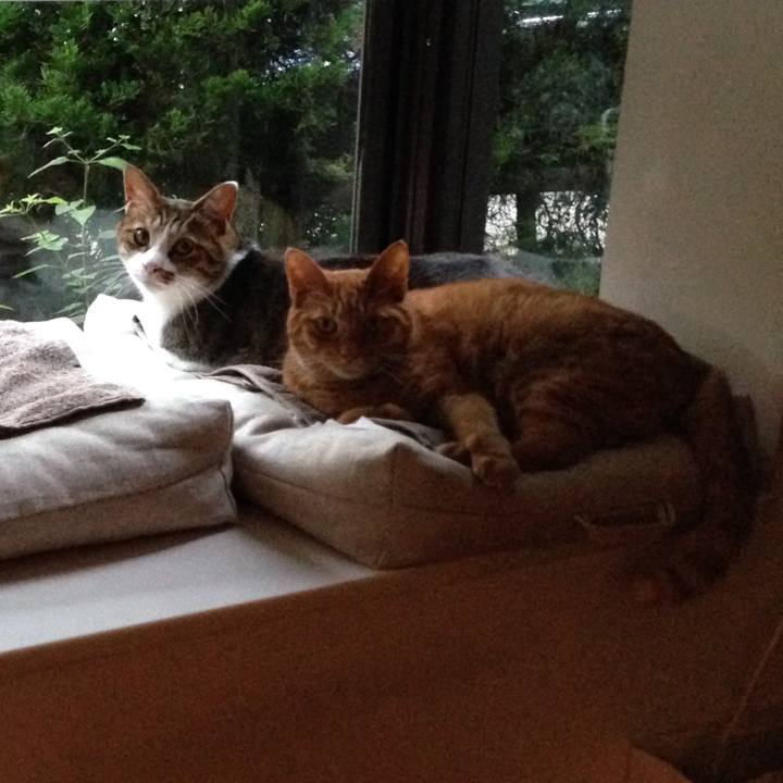 59f68833 d945 441e 9ae6 2014cf857ca0