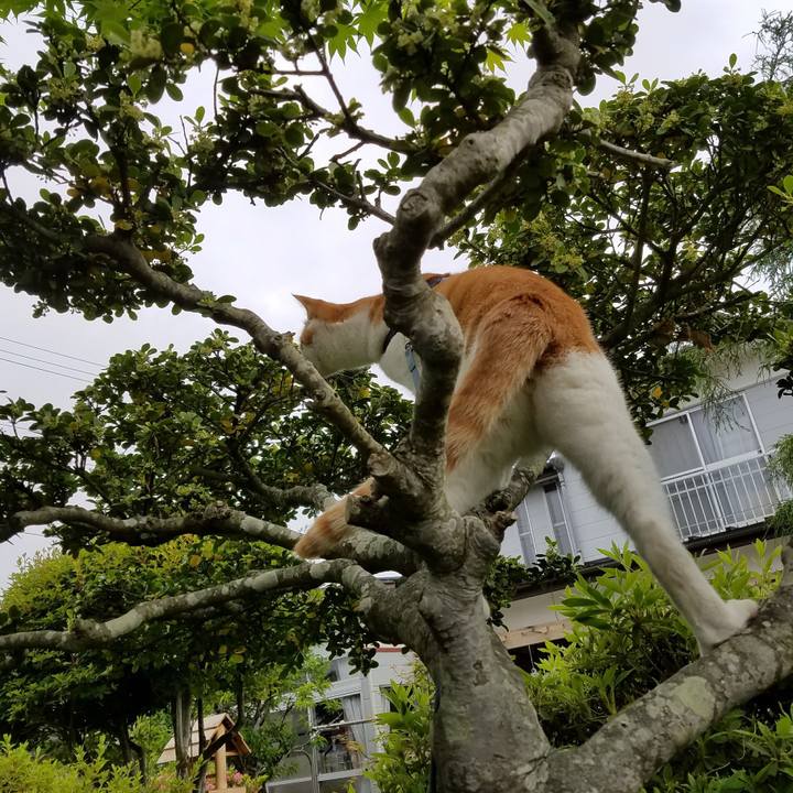 59f6ff6b f2d6 452f 977d e77058e5c07d