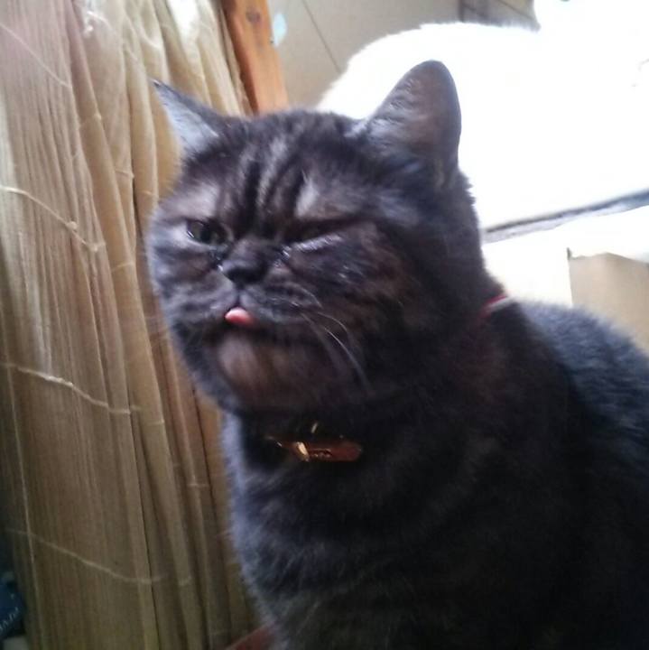 59f71ba3 fca8 4c15 9c7b 53af06ab19cc