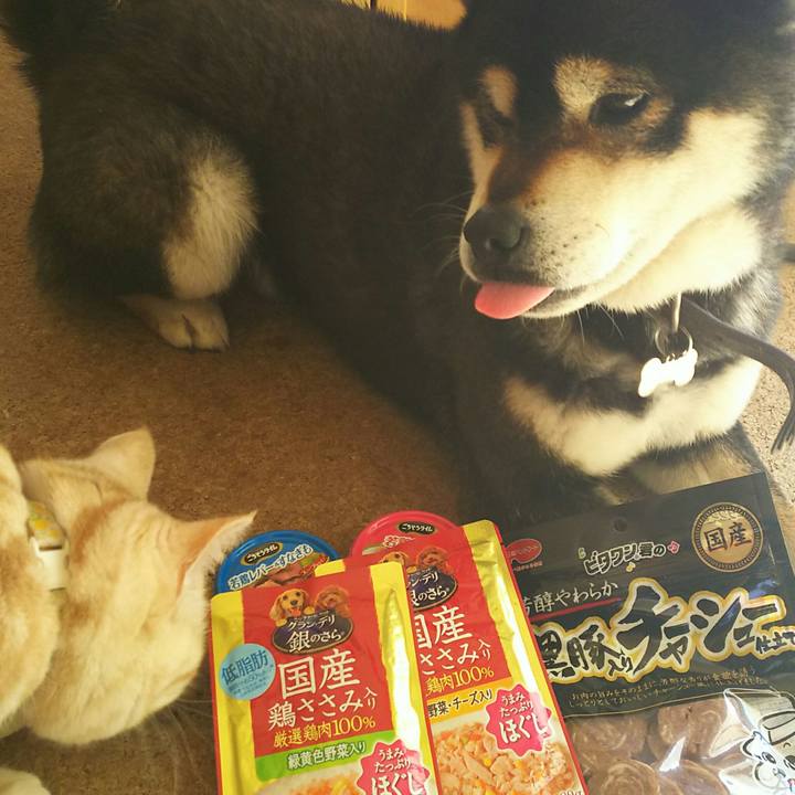 59f723ac f51f 4ff2 8903 e00d2c7150d7