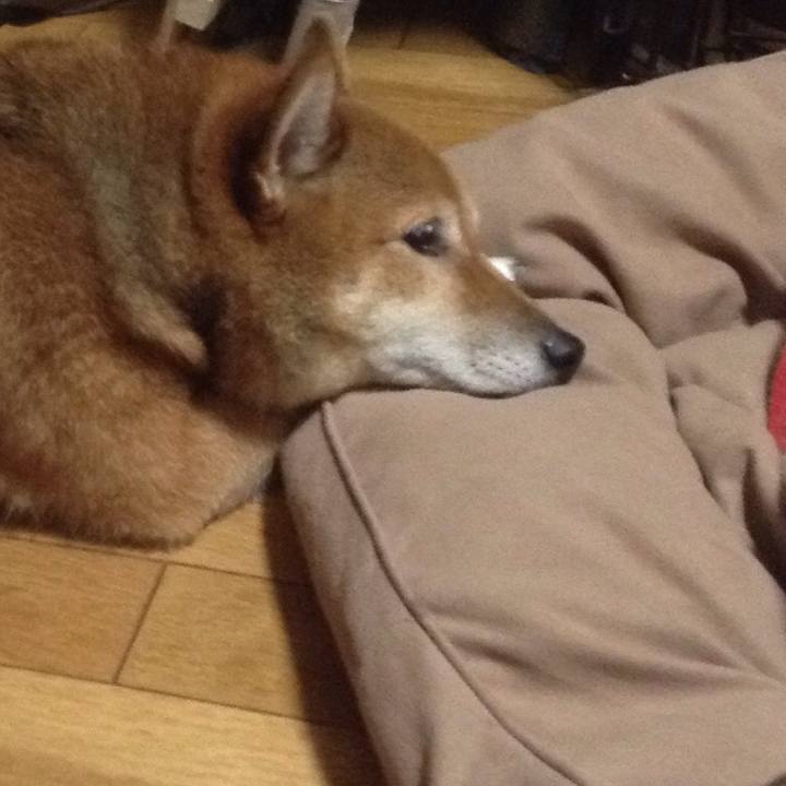 59f7b06f ab5a 4a14 af1b f92bf6bf8ac9