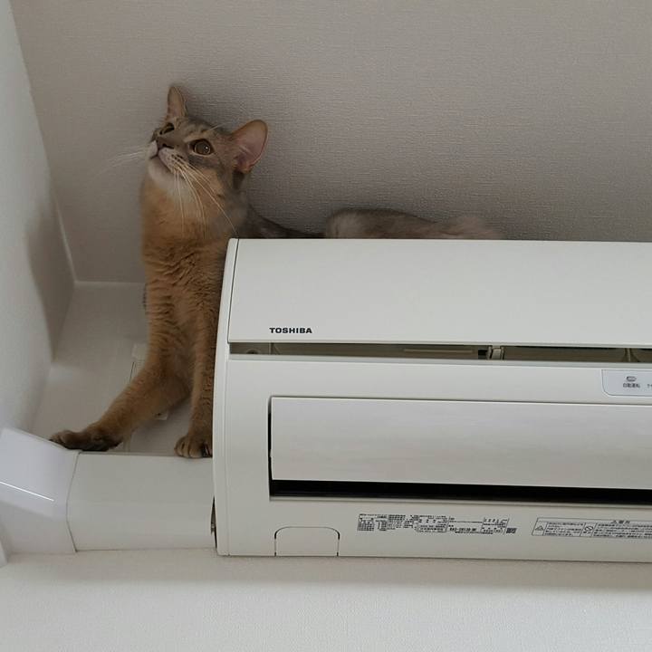 59f8342a 9253 456d 999a 6928cf96e87e