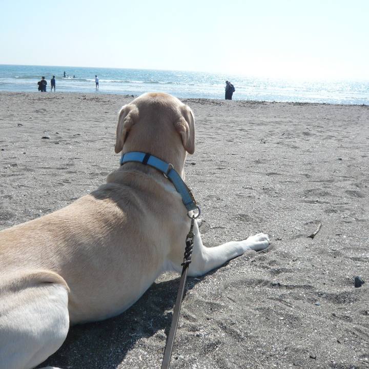 59f8aeac f6c5 430b 8971 aae2d07c5119