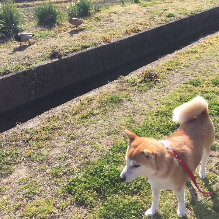 59f8c5f2 7d64 46dc a7c9 7d04d73315b4