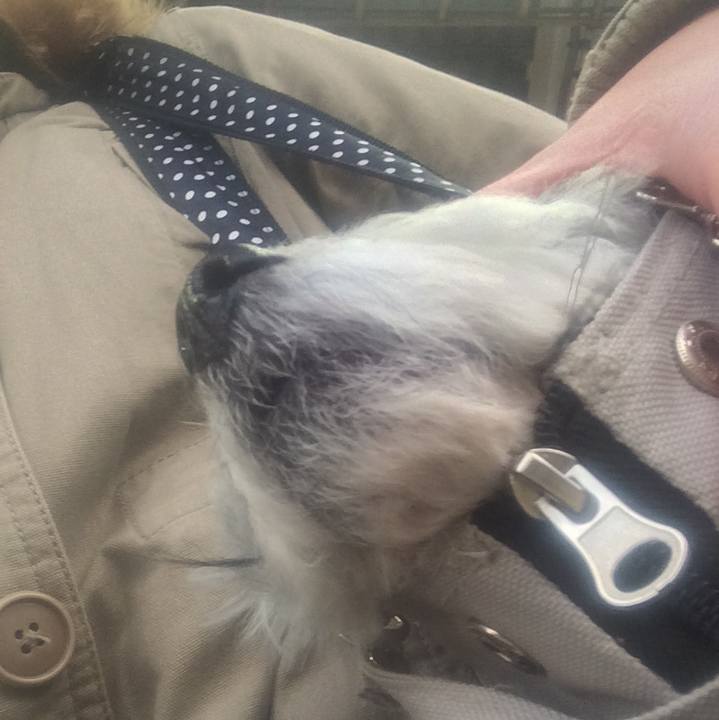 59f9caa9 c510 484c a358 17165a2fb666