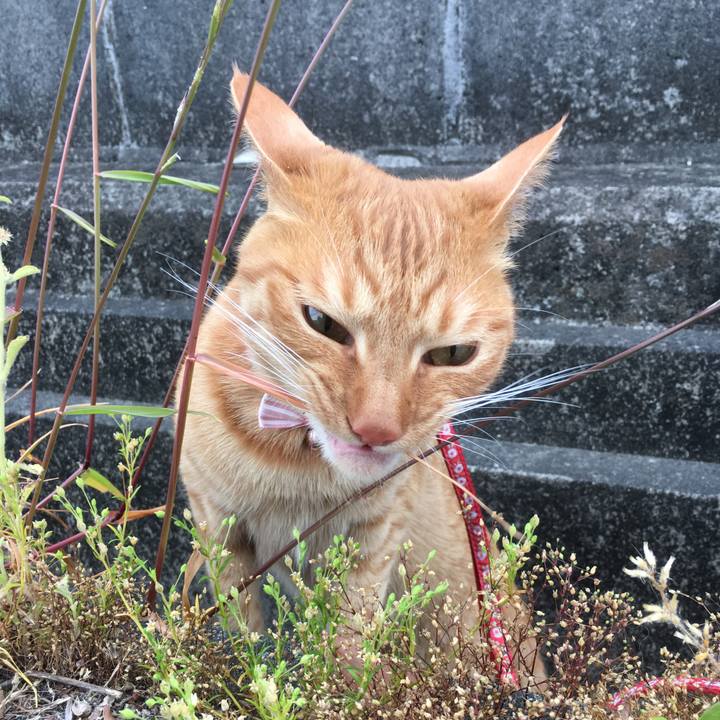 59f9f4aa d325 4651 af31 f359f31c9fa2