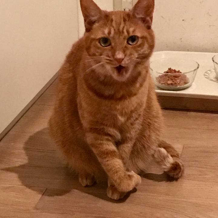 59fa06cf b335 44ed 99e9 48dd731d049f