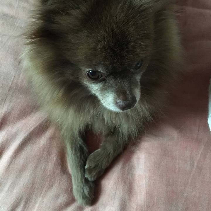 59fa7b0e e06a 4408 87d8 645108f8101d