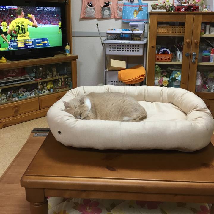 59fa8251 38b5 4442 b31c 389c27ef25ca