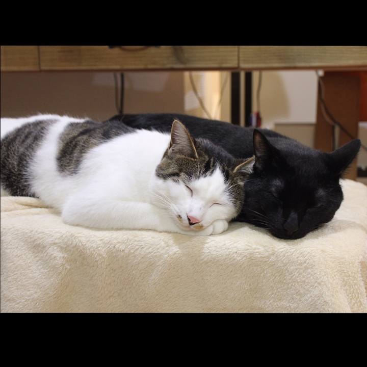 59faf8e2 9e77 41be 8244 273beb4bd2ab