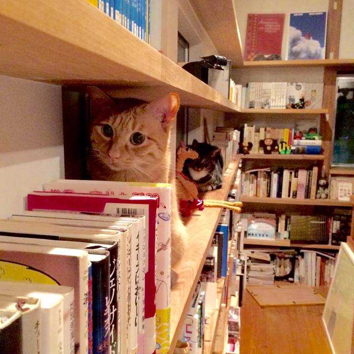 59fb125f c11b 49ee 9707 8c27f5322d6c