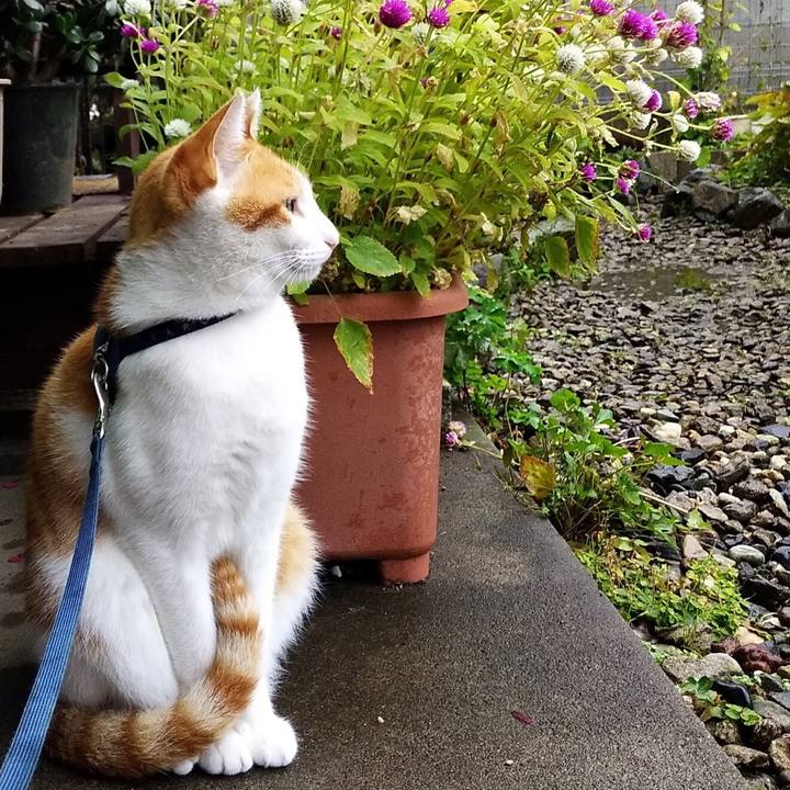 59fb8fa9 7a2e 42f0 9b87 0d00eb476419