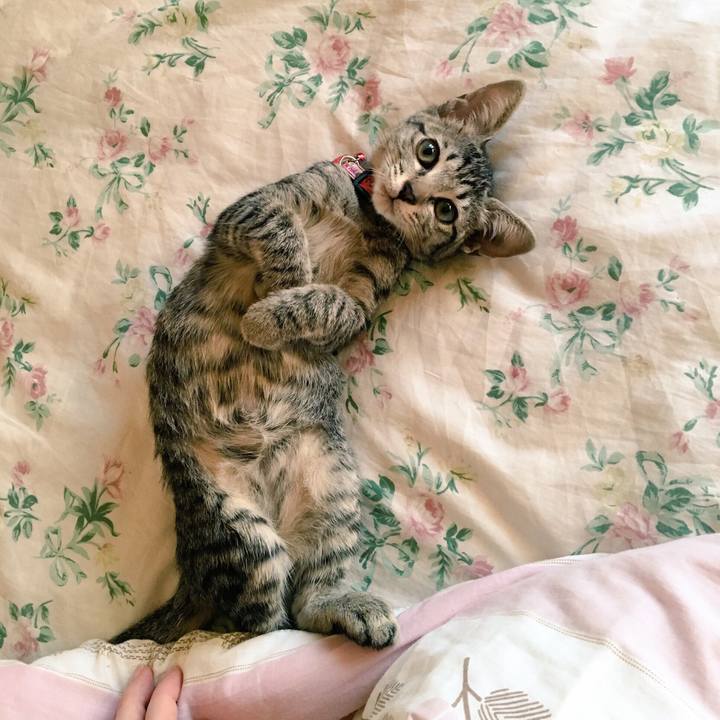 59fbdcf7 f4f8 4506 b295 c74677d3a153