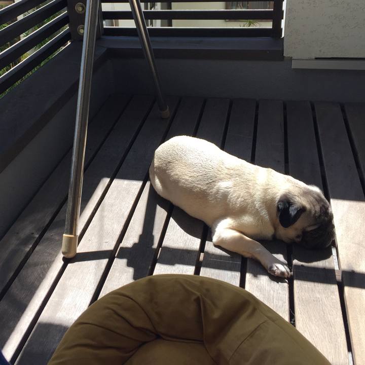 59fc73ca 192e 4de9 9ccb 2c7daf6ec2fa