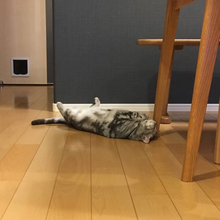 59fcac4d b8fe 4fdd 96eb 4b5d0e0de8e1