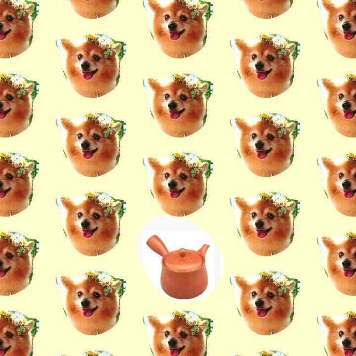 59fcdf41 6204 4370 bd98 05e2cf90e6b7