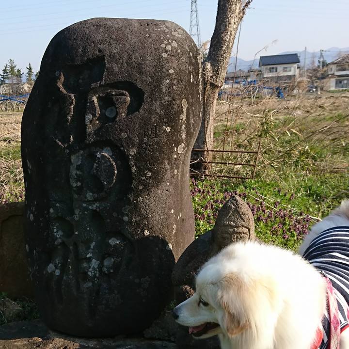 59fe683b e1ca 42a3 a878 a343a003678a