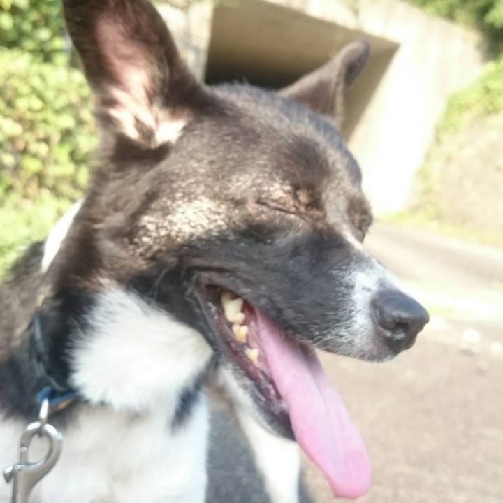 59fe6c95 7461 49f8 9c63 40c7c086cee1