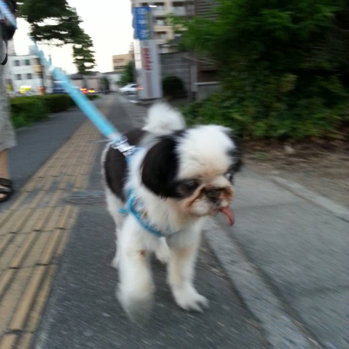 59fe9b61 8ae7 4edd 8503 9980c6f083e5