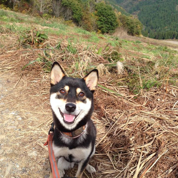 59fecb4b 4338 4de2 af00 036f3eef6f61