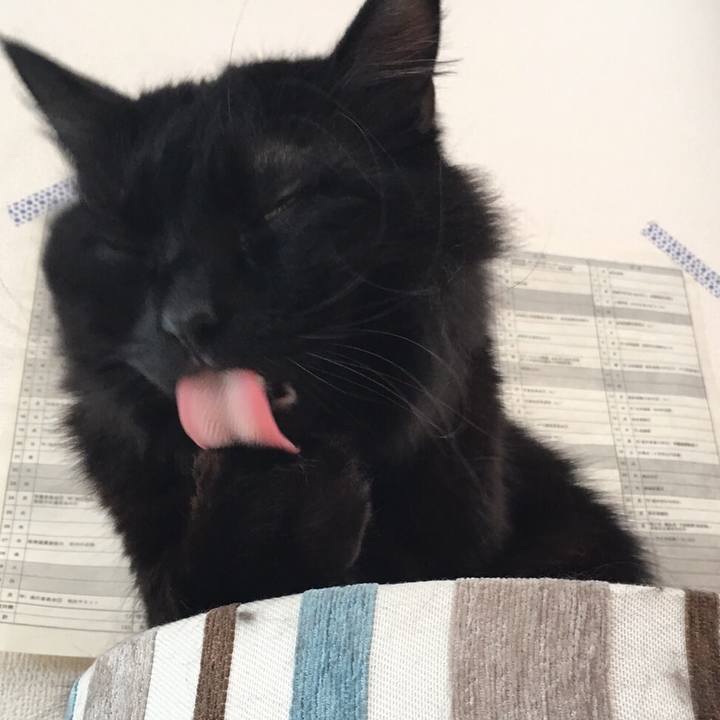 59fecb84 94a8 4301 914f 068cdf634304