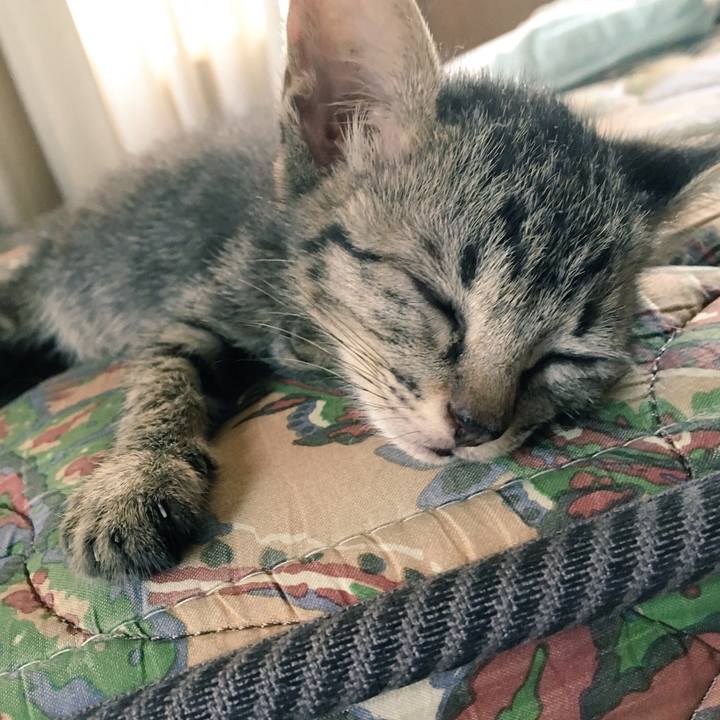 59ff26c9 a37d 41c1 bfea fbac66839bab