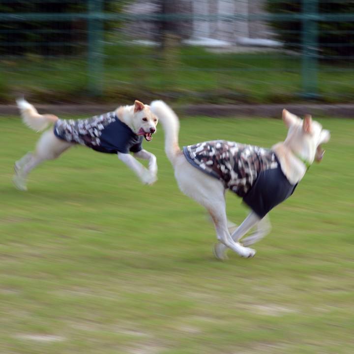 59ff6376 81a4 41d2 9451 510bf6b64777