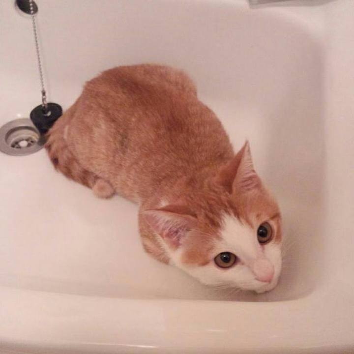 59ff91fe b82b 419d bd54 ccfed7b9fab7