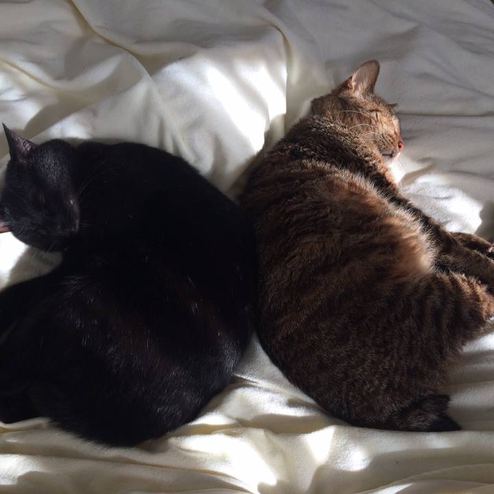 59ffa19f 7bfd 46b7 94e4 31b128fdba5c