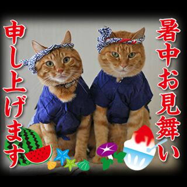 59ffb5e8 3532 4822 8343 837532e1297e