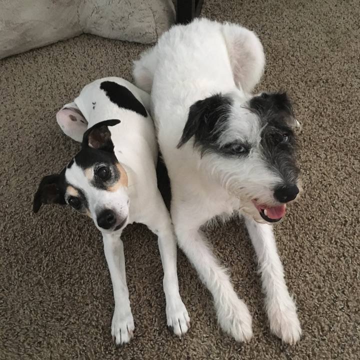 59ffba5f 5738 4b45 9d1b 1dd90ec12f9b