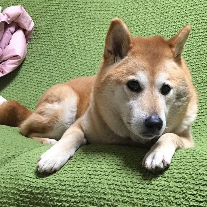 5a00b9fd 2b60 437e b06b 12bdee27235d