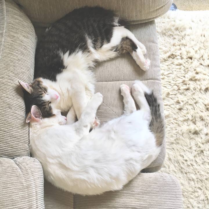 5a00c78f e614 46f7 a155 0acae6c91d77