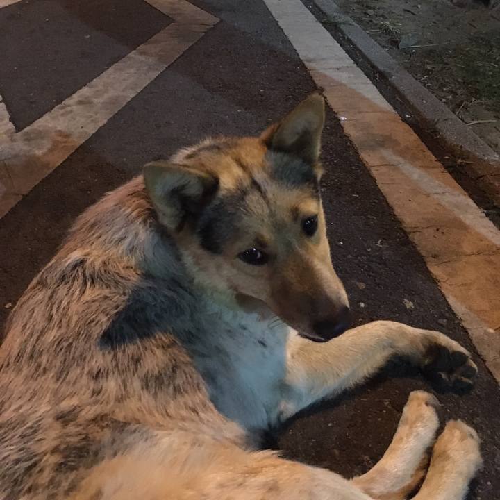 5a00c993 8f2e 4126 bc7a 676401033107