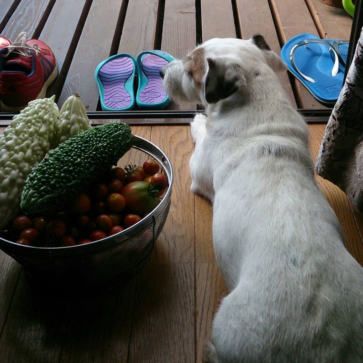 5a00f15b b26a 4173 b7d5 6fdaee1d5af4