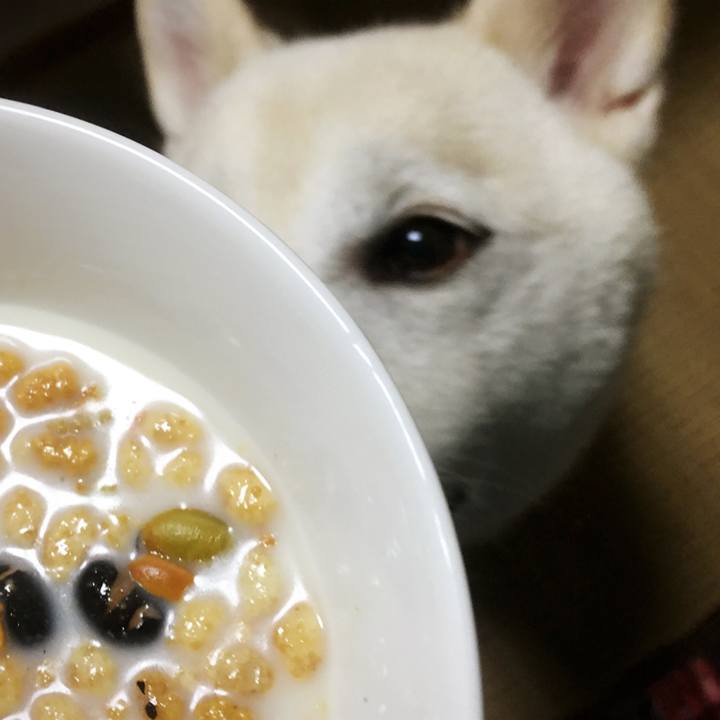 5a00f6f1 bae0 4ce5 a29a efb0c16e2c2b