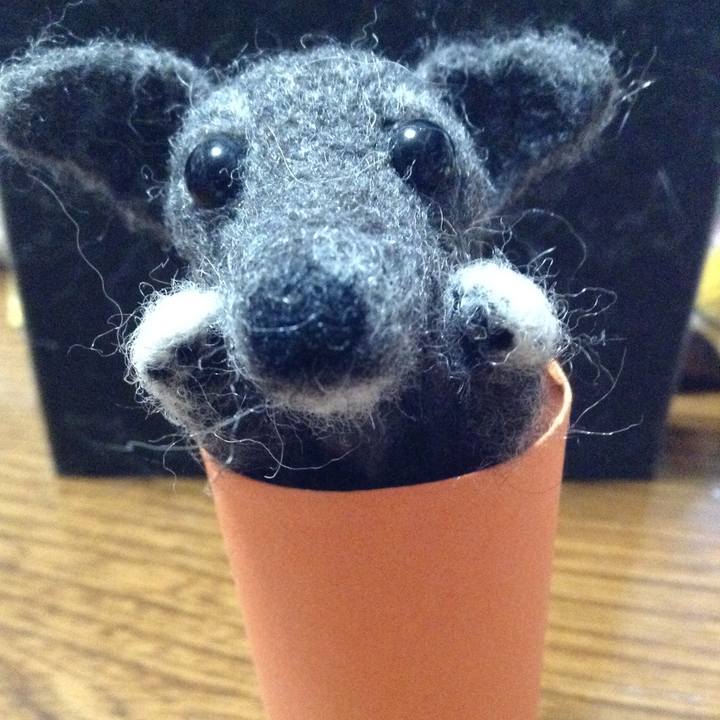 5a013cf5 72bb 4324 95b2 aa8b4d09b762