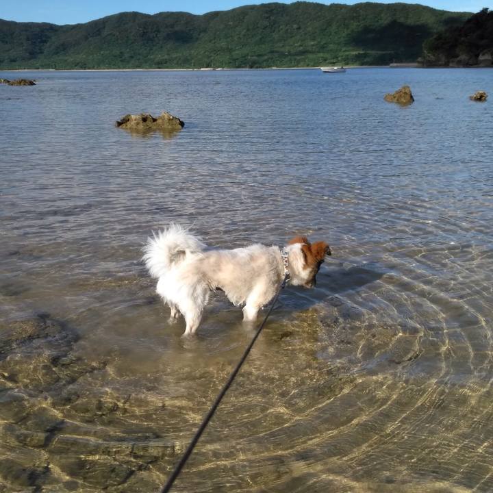 5a01ac64 463f 47e3 a5d9 a1eb3aba4a5a