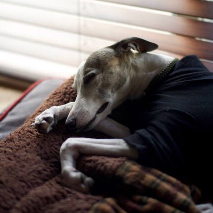 5a01dce0 7093 4d5f b550 918b53720b88