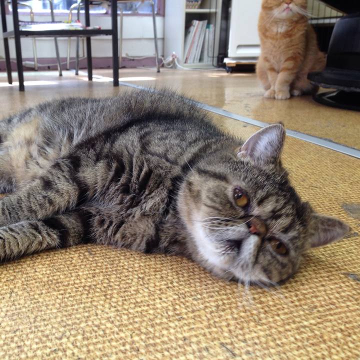 5a02643e 3815 4cf8 9327 350eb26ddc7c