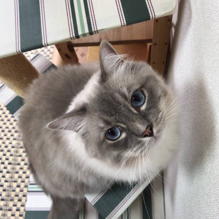 5a028f49 a885 4961 93b5 347737d391a5