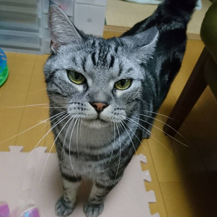 5a0297c1 a506 4587 b896 4d3cbbead914