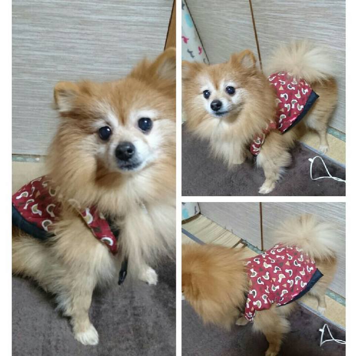 5a02bcd4 b0fe 43a3 89ae 1791cabf7550